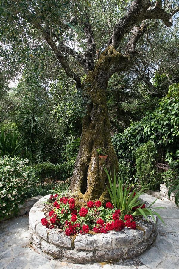 Villa Lofos Kassiopi Exterior foto